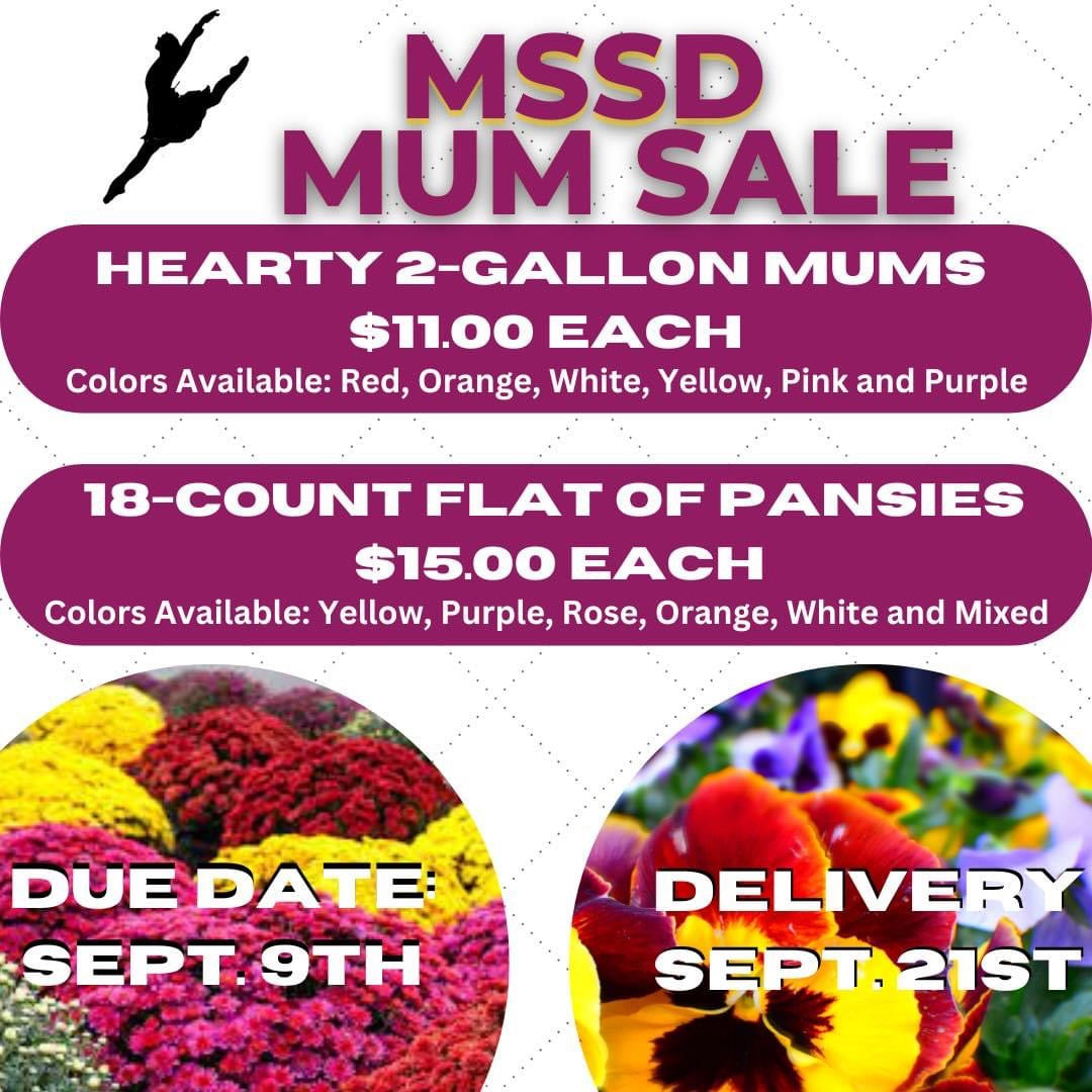 Hearty Potted Mums (9” pot) - $11 each
