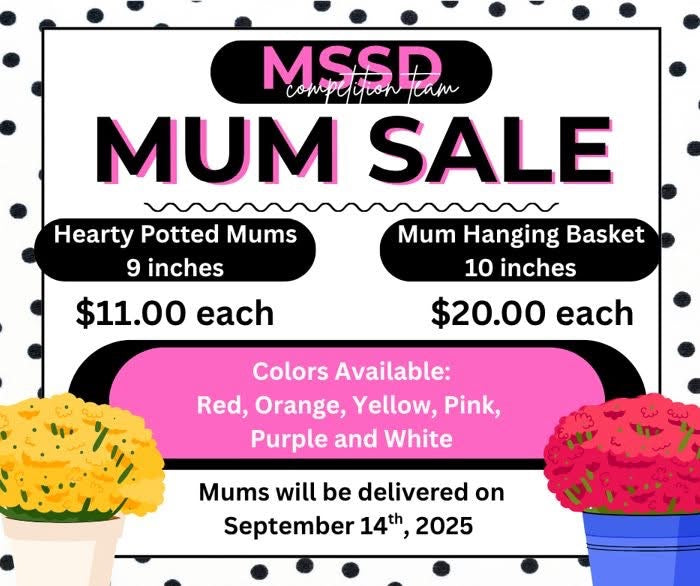 Mum Hanging Baskets (10” basket)